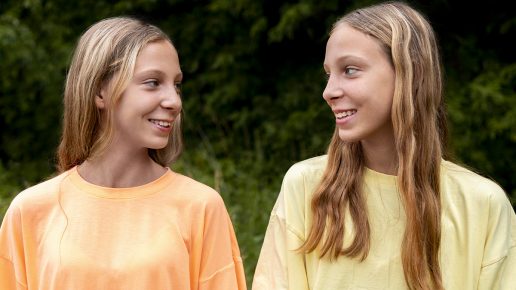 Illustration de l’article : Compatibilité entre frères et sœurs selon les signes