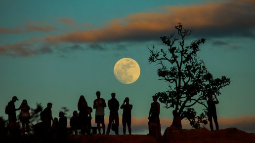 Illustration de l’article : Influence de la Maison IV et de la Lune sur la vie familiale
