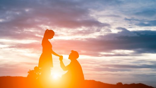Illustration de l’article : Les maisons et les domaines de vie en astrologie : amour, travail, famille…
