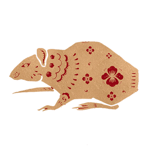 Rat