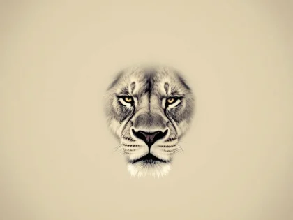 Comment un Lion gère la colère