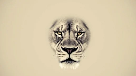 Illustration de l’article : Comment un Lion gère la colère