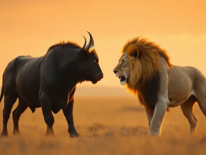 Illustration de l’article : Pourquoi Taureau et Lion ne s’entendent pas